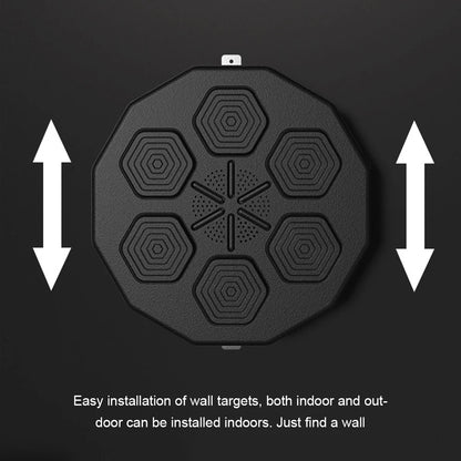 Electronic Punching Target